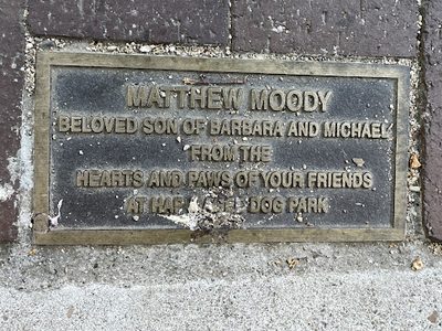 Matthew Moody