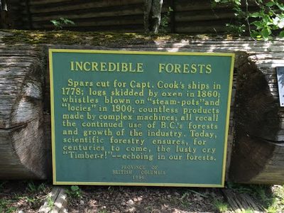Incredible Forests
