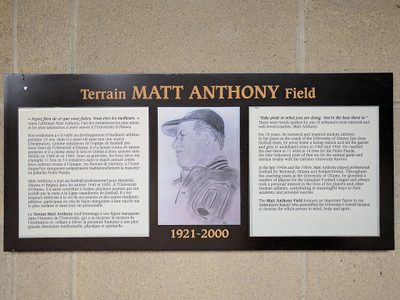 Terrain Matt Anthony Field