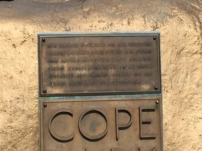 Bill Cope