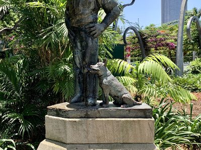 A Bronzed Aussie and his Blue Heeler Dog