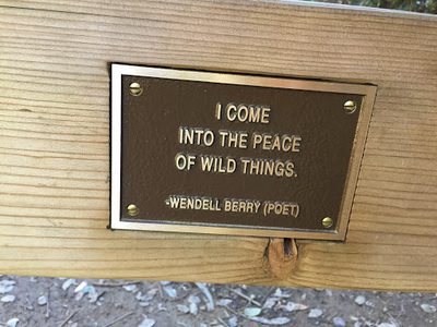 I Come Into the Peace of Wild Things