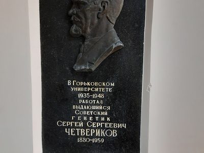 An outstanding geneticist Sergey Sergeevich Chetverikov