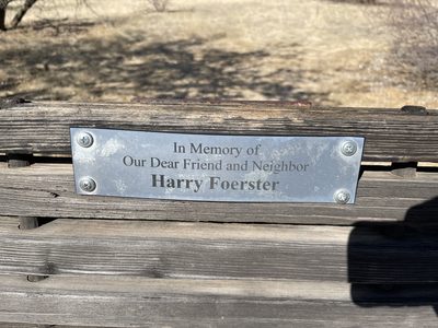 Harry Foerster