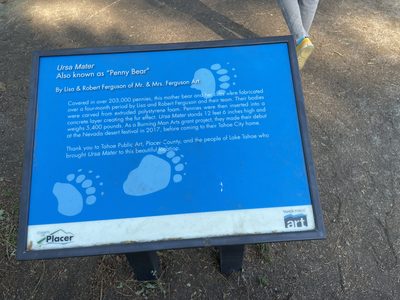 Ursa Mater (Also Known as "Penny Bear")