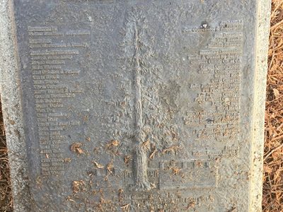 Felton Heritage Tree