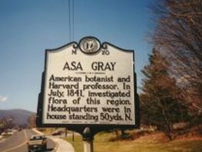 ASA GRAY