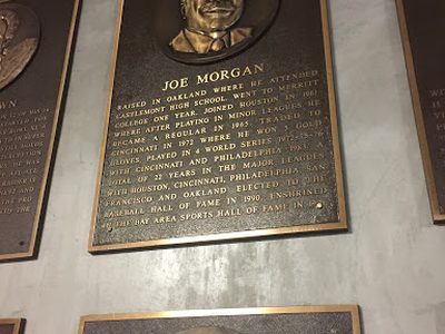 Joe Morgan
