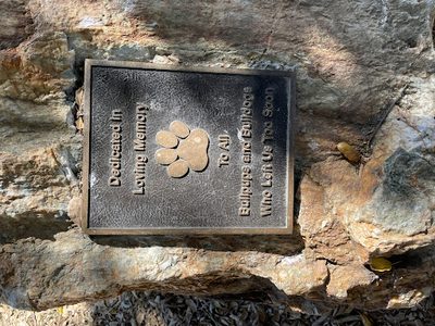 Dedicated in Loving Memory To All Bullpups and Bulldogs Who Left Us Too Soon