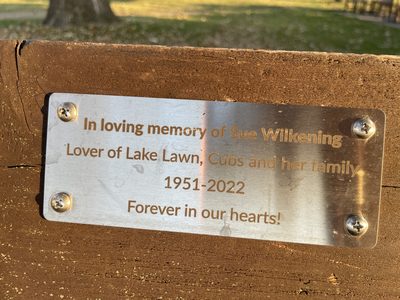 Sue Wilkening