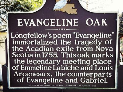 Evangeline Oak