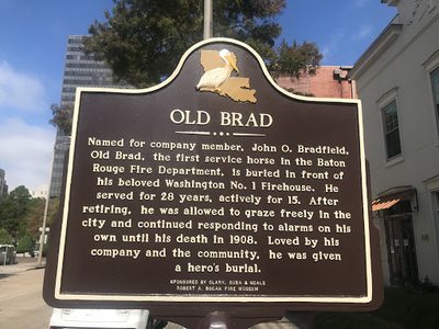 Old Brad