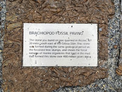 Brachiopod Fossil Paving