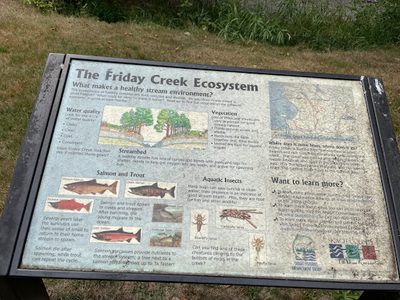 The Friday Creek Ecosystem