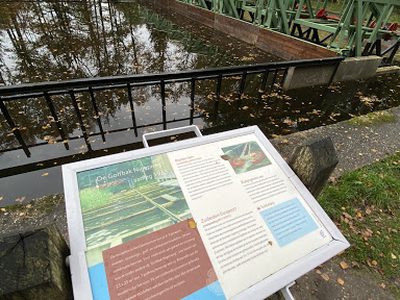 Golfbak Waterloopbos