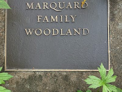 Marquand Family Woodland