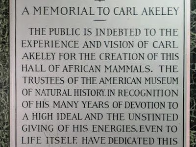 Akeley Hall of African Mammals
