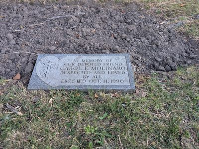 Carol E. Molinaro