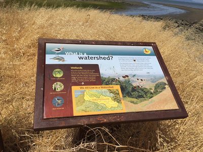 We All Live in a Watershed