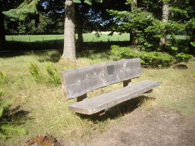 Park bench in Milton Wood