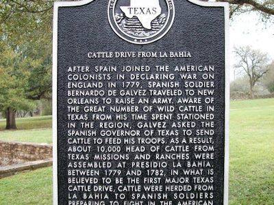 Cattle Drive From La Bahia
