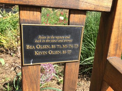 Bea Olsen, Kevin Olsen