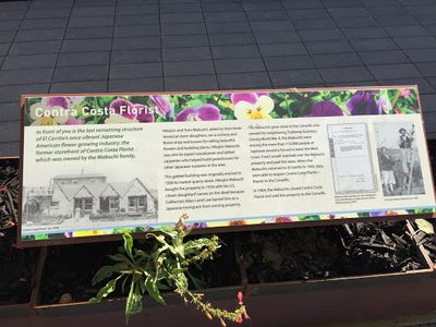 Contra Costa Florist