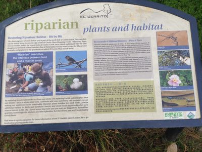 Riparian Habitat