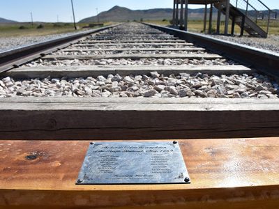 Golden spike