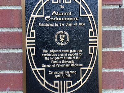Alumni Endowment