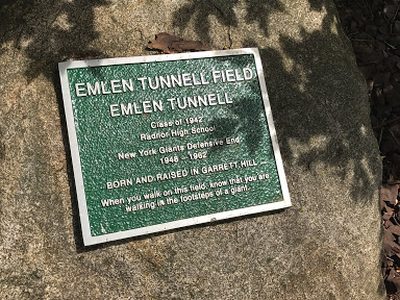 Emlen Tunnell Field