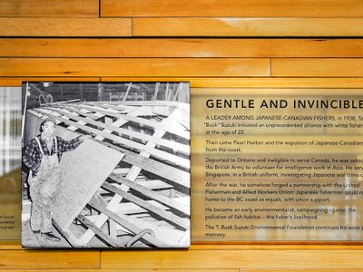 Gentle and Invincible (T Buck Suzuki)