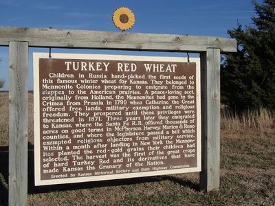 TURKEY RED WHEAT