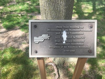 Bicentennial trees
