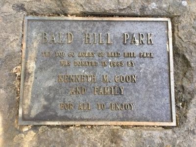 Bald Hill Dedication