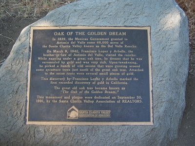 Oak of the Golden Dream