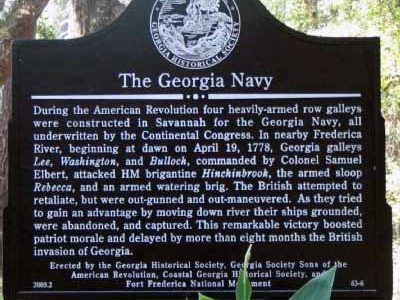 The Georgia Navy