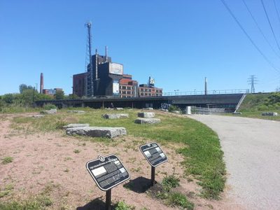 Don River