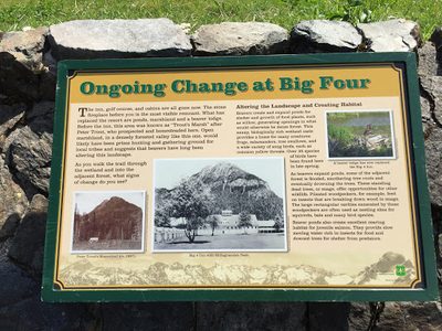 Ongoing Change at Big Four