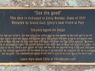 See the Good—Emily Benatar