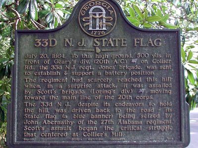 33d N.J. State Flag