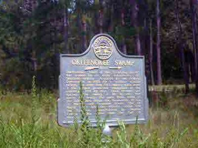 Okefenokee Swamp