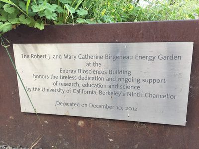 Birgeneau Energy Garden