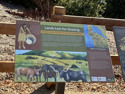 Lands Lost For Grazing