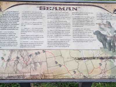 Seaman