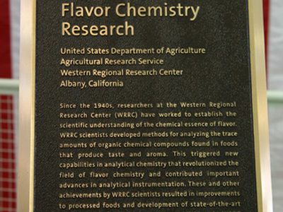 Flavor Chemistry Research