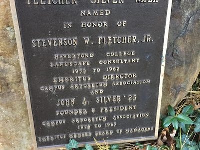 Fletcher - Silver Walk