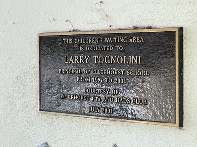 Larry Tognolini
