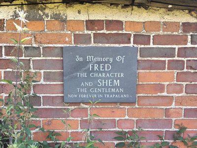Fred the Character and Shem the Gentleman