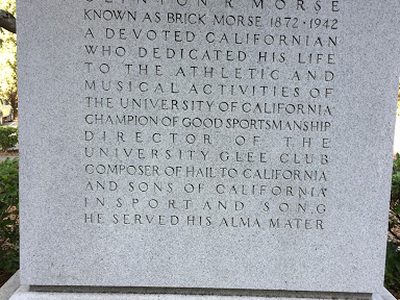 Brick Morse